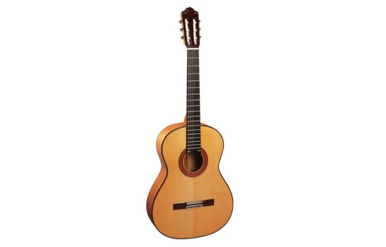قیمت خرید فروش گیتار کلاسیک Almansa 447 Flamenco