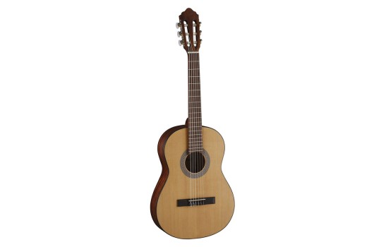 قیمت خرید فروش گیتار کلاسیک Cort AC70 OP w/bag
