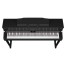 قیمت خرید فروش پیانو دیجیتال Roland HP-605 CBL