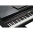قیمت خرید فروش پیانو دیجیتال Kurzweil KAG100 BP