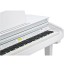 قیمت خرید فروش پیانو دیجیتال Kurzweil KAG100 WH