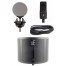 قیمت خرید فروش میکروفون کاندنسر SE Electronics X1 S Studio Bundle