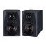 قیمت خرید فروش اسپیکر مانیتورینگ Icon PX-T6A G2
