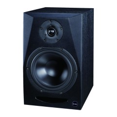 قیمت خرید فروش اسپیکر مانیتورینگ آیکن Icon PX-T8A G2